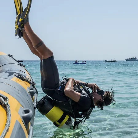 Cormoran فيلاّسيمِيوس