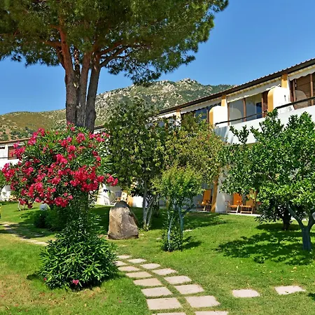 Cormoran فيلاّسيمِيوس