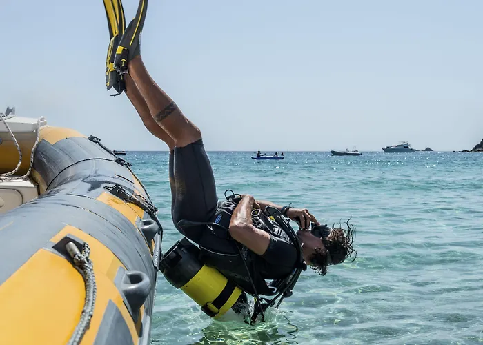 Cormoran Villasimius