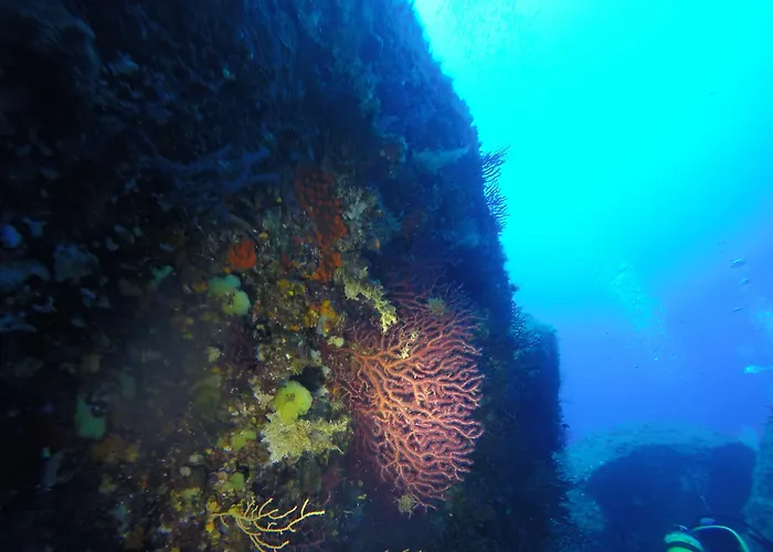 Cormoran Apartmanhotel