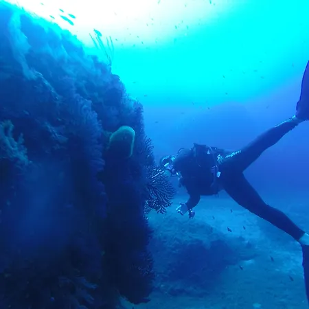 Cormoran Villasimius